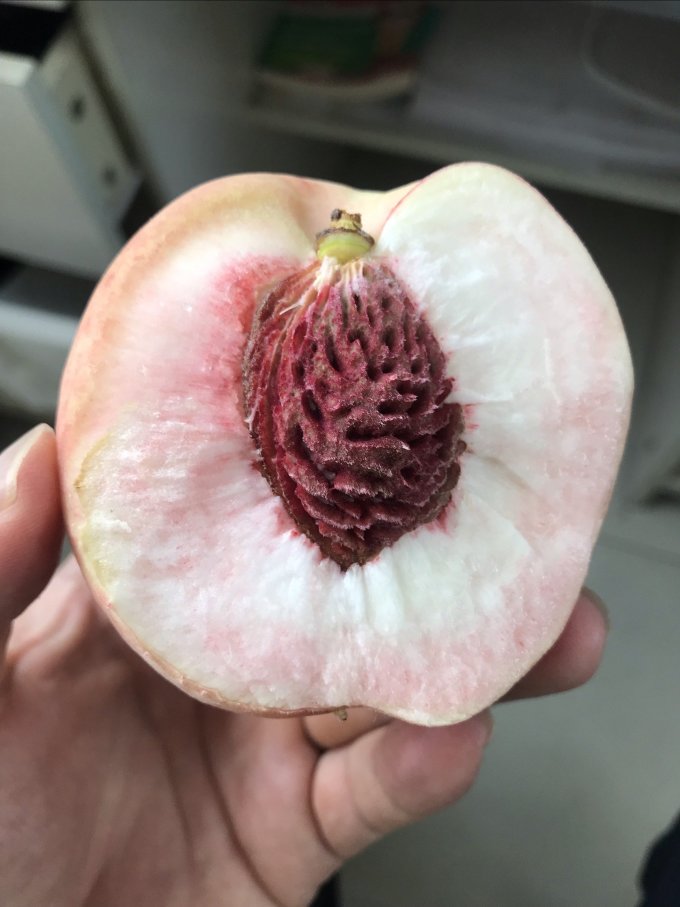 六月鲜桃,又脆又离壶_什么值得买