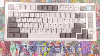 Darmoshark 达摩鲨 K8键盘简短开箱以及测评： 369缘拿下佳达隆定制轴81键盘