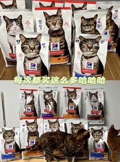 🐱拿捏住!家庭猫粮良心推荐💞