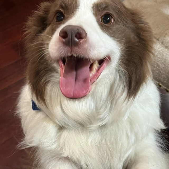 听人劝吃饱饭！这款软骨素快冲起来！！！