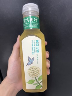 解渴又解腻——东方树叶茉莉花茶