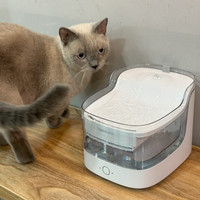 猫咪不爱喝水？这款宠咕咕瀑布饮水机，让你的猫咪爱上喝水！