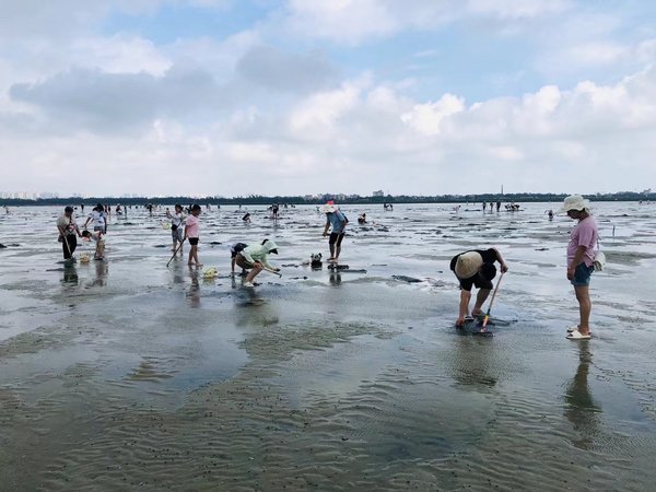 老夫老妻也要有浪漫，北海之旅