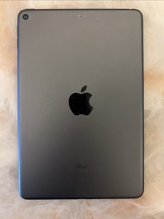 小黄鱼淘了一个iPad mini5