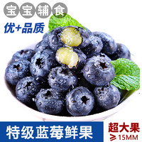 斯可沁蓝莓15mm+大果装8盒每盒约125g新鲜生鲜水果孕妇宝宝可食用