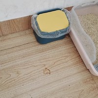 轻松铲除猫便便：宠物猫铲除便便神器体验