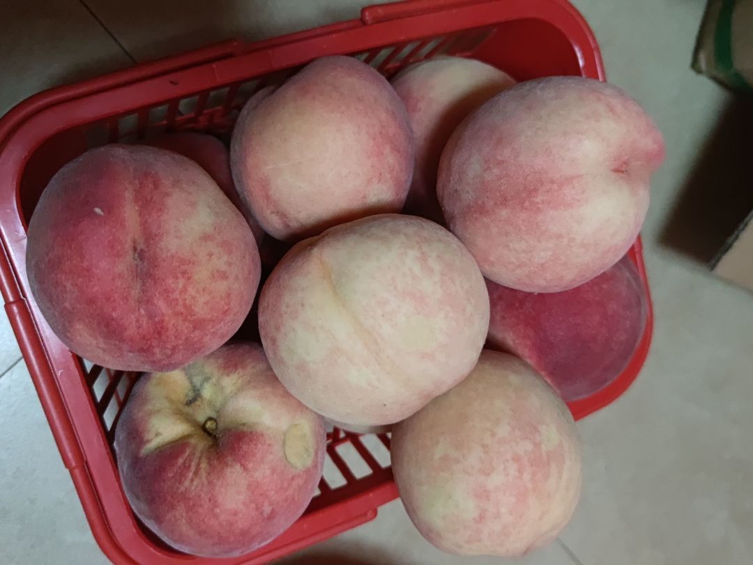 鲜嫩多汁,让你欲罢不能的北京平谷桃!