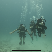 泰国潜水学校如何选择？这里有最全面的考察指南！