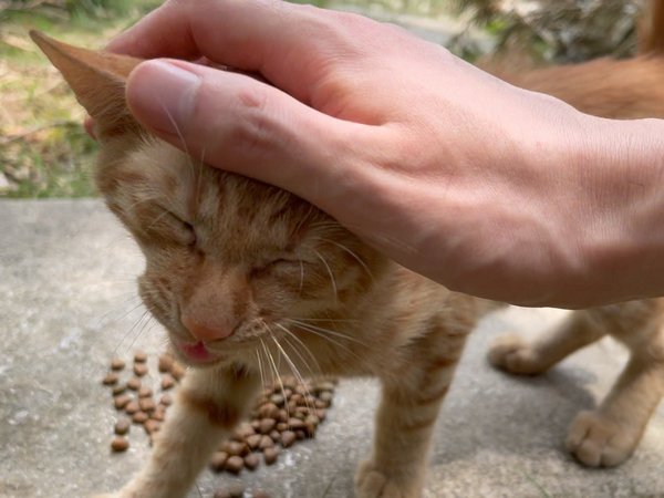 爱护动物，从娃儿培养起！