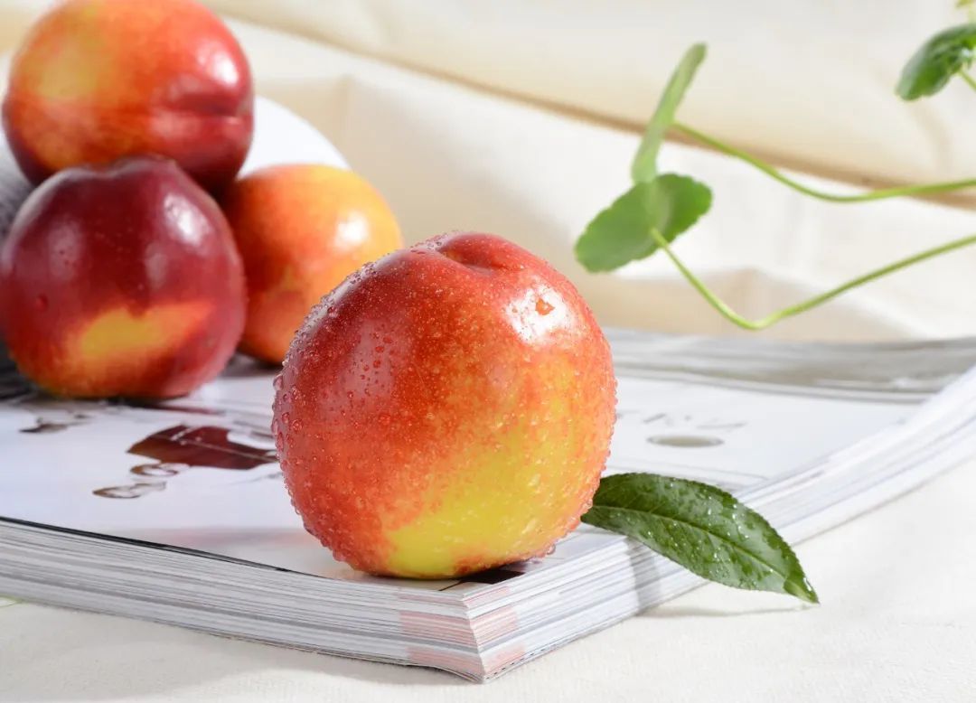 砀山油桃 08摄图网