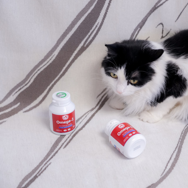 软骨素真的有用吗？要不要给宠物吃软骨素？