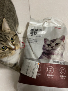 京造的猫砂，这么一大袋子才7块多