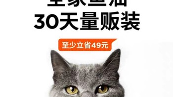 挣扎人生！选择猫条的艰难之路