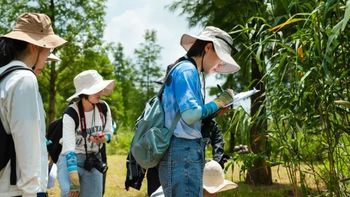 公民科学家｜揭秘水面下的植物“原住民”