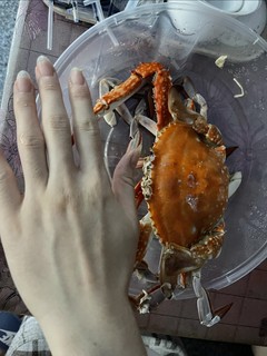 一年一度吃螃蟹的时候到了……