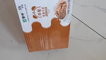 蒙牛核桃早餐奶：营养新选择