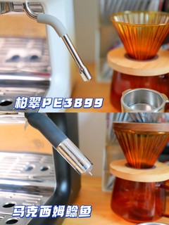 纠结？咖啡机大比拼！柏翠PE3899vs鲶鱼