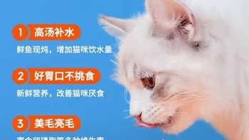 一罐在手，猫咪开心到底！宽福猫罐头主食罐，让你的宠物爱不释口！