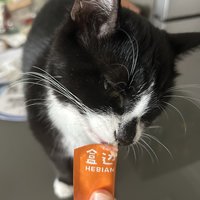 给主子试吃盒边猫条它反馈还可以