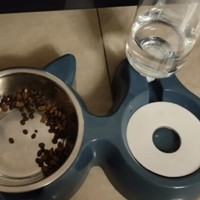 猫猫食盆，让你的猫咪吃饭变得更简单！