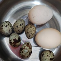 美食分享 篇六：早餐吃什么，来个水煮鸡蛋和鹌鹑蛋吧？