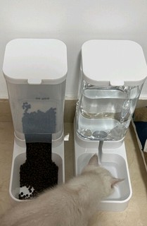AITAPET宠物自动喂食器猫碗猫食盆