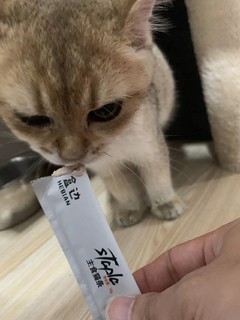 这是“神仙”猫条吧！！！