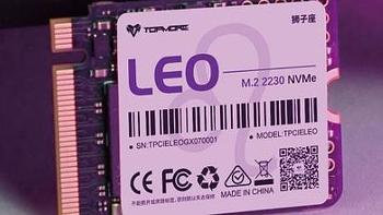 小身材、大容量：达墨推出 LEO 2TB M.2 2230固态硬盘，袖珍迷你主机/掌机/游戏机可用