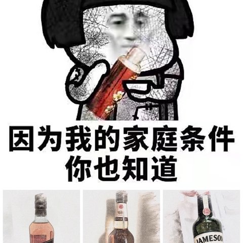 入门威士忌推荐——贫民窟版