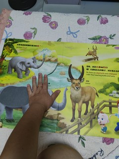 从小学到大的动物触摸书，宝宝的最爱！