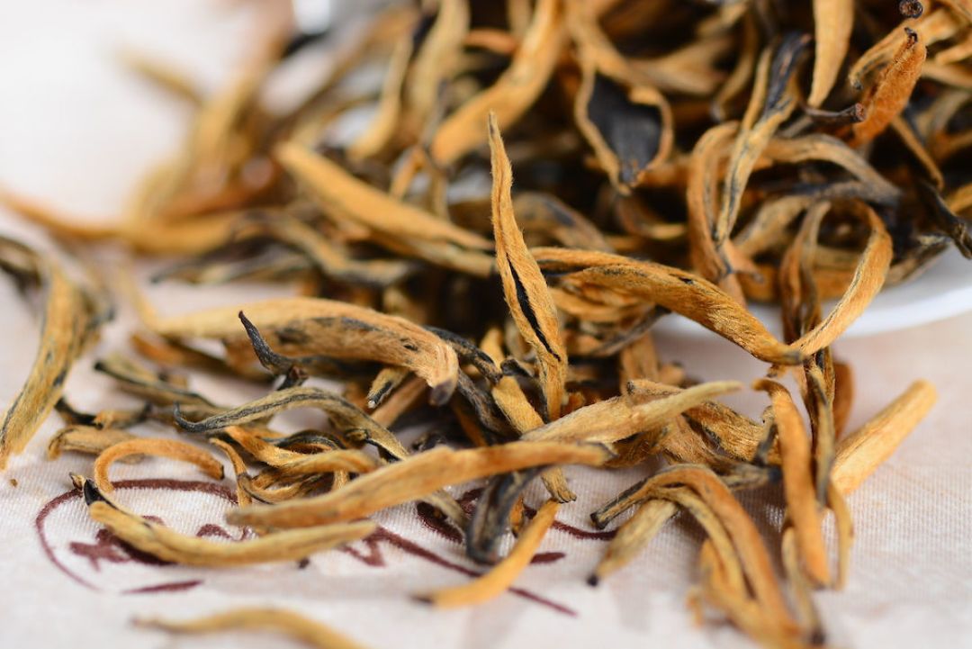 身披"金毫"的滇红 08摄图网