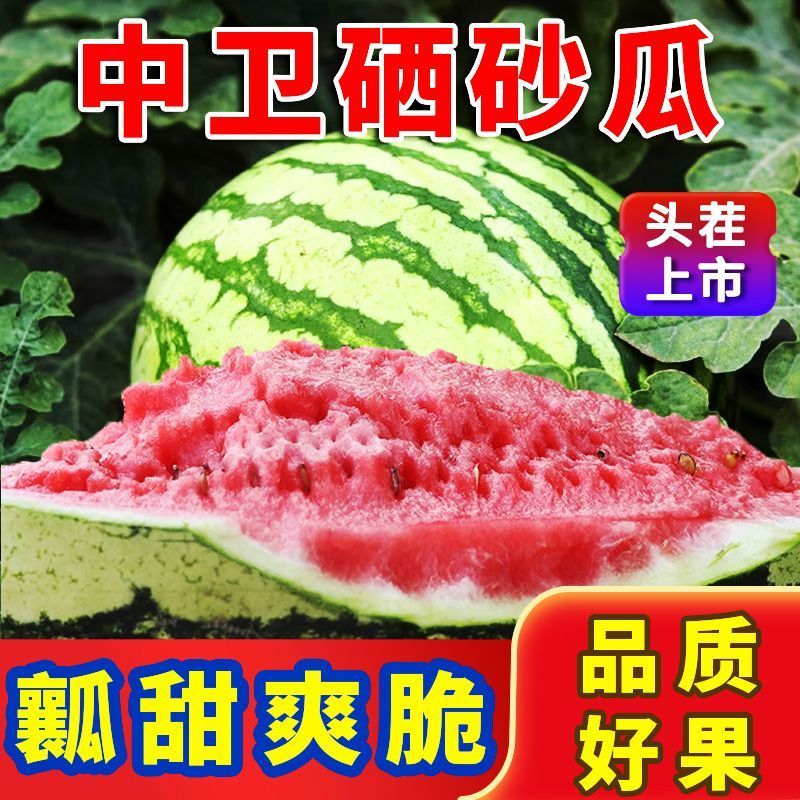 夏天！这三种西瓜一定不要错过，好吃不贵！