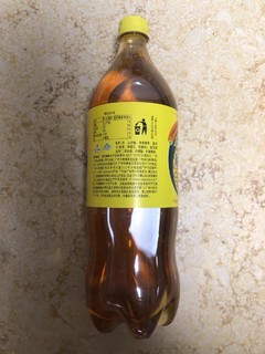 广氏菠萝啤1.25L*2大瓶