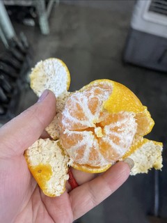 现在的橘子有点变异呀