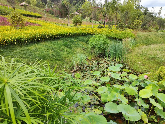 油画丙烯