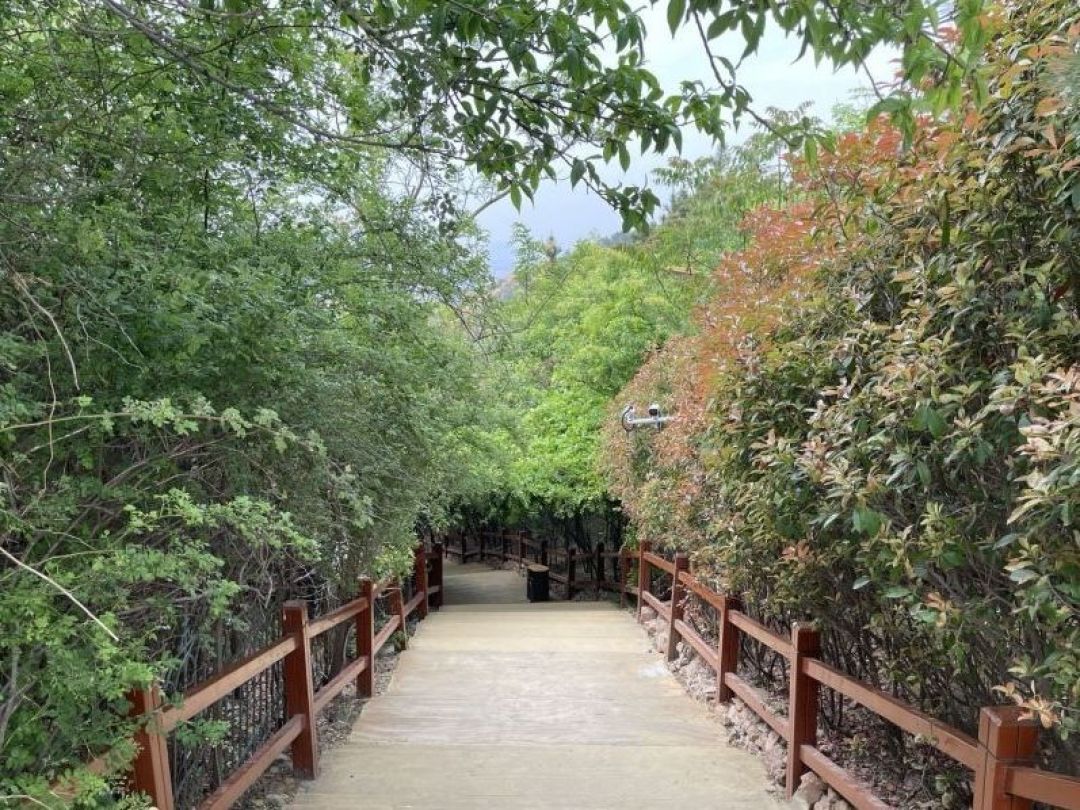 城市游毛公山一日游