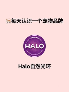 Halo自然光环｜每天认识一个宠物品牌🐱