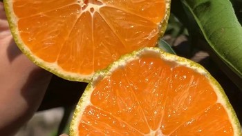 《橘子的百种吃法：打破常规，开启味蕾的探险之旅》