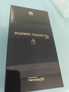 华为 Mate60Pro:华为商城下单，次日达