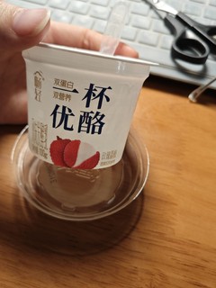 一杯优酪