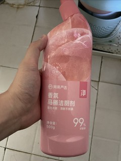 网易家的洁厕灵