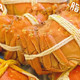 螃蟹吃面包太可爱了，以后再也不吃面包了！今天化身为吃蟹狂魔！