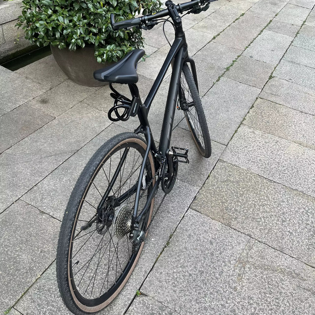 并不便宜的小水桶车，捷安特revolt F1 500KM体验