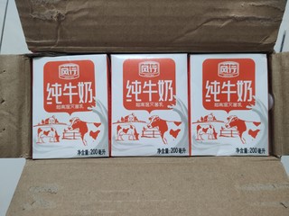 广东人的宝藏乳品-风行牛奶