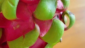 秋季干燥，吃点火龙果来预防一下