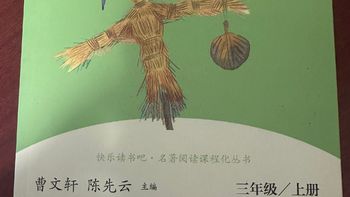 生活记录 篇149：课外必读阅读书稻草人