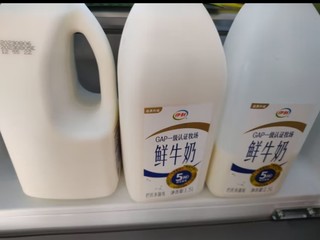 伊利高品质全脂鲜牛奶1.5L家庭桶装 