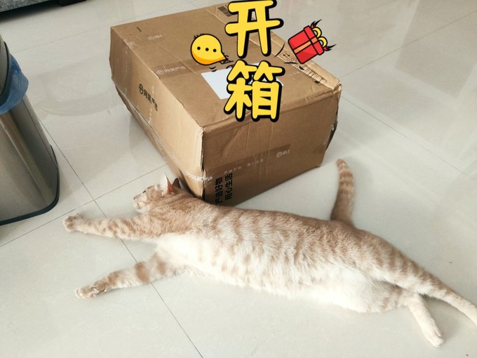 网易严选猫咪干粮