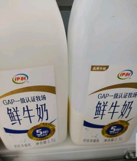 伊利高品质全脂鲜牛奶1.5L家庭桶装 鲜活营