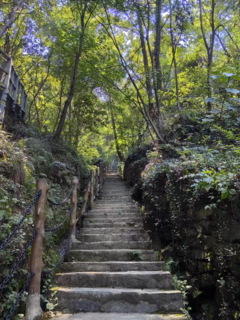 昆仑骆驼登山鞋简直是山林探险的得力助手